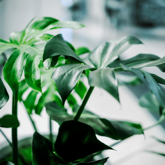   Los Angeles
 office image