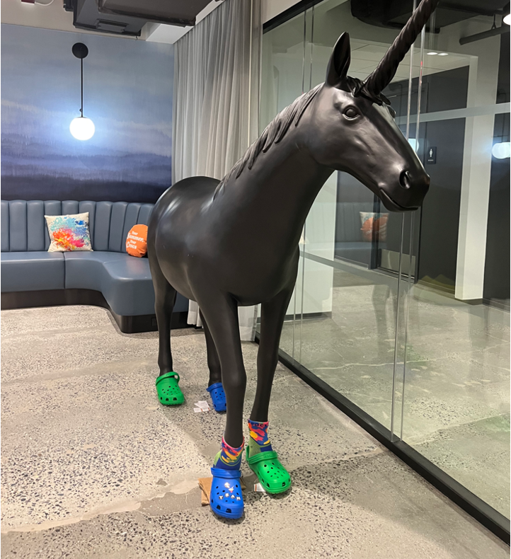Horse figure using crocs footwear