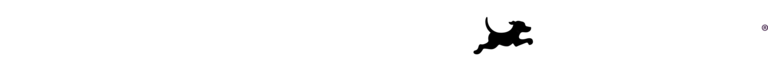 Digitas and Fetch wordmark